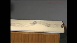 Transverse Traveling Wave on a Slinky [upl. by Aneeres]