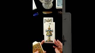 You Need To Hear This Message  Timeless Tarot Card Reading tarot lovereading short [upl. by Dearden]