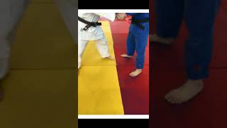 La sortie de tapis Arbitrage judo [upl. by Yraccaz]