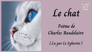 Le chat  Poème de Charles Baudelaire [upl. by Lytle]