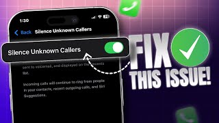 How to Silence Unknown Callers on iPhone in iOS 18 System  Mute Unknown Callers on iPhone [upl. by Cob]