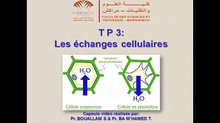 TP3 de Biologie Cellulaire quotLes échanges cellulairesquot [upl. by Bravar]