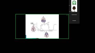 NSA Residents tutorial Capnography [upl. by Leahicm]