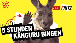 Alle Folgen von Neues vom Känguru reloaded  5 Stunden  MarcUwe Kling  KänguruChronikenStorys [upl. by Tlihcox]