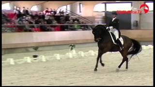 Danielle Heijkoop wint KNHS Indoorkampioenschap Lichte Tour [upl. by Carly394]