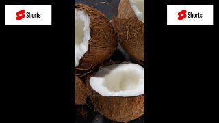 Coconut amp Chocolate Macaroons  Keto SHORTS [upl. by Margret]