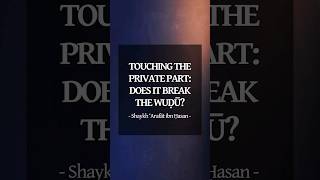 Touching the private part does it break wuḍū or not  Shaykh ʿArafāt ibn Ḥasan [upl. by Anivahs]