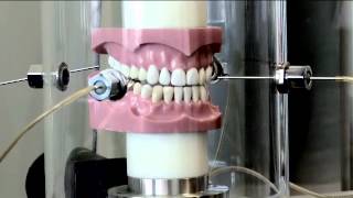 Dental Chewing Machine [upl. by Asiulairam]