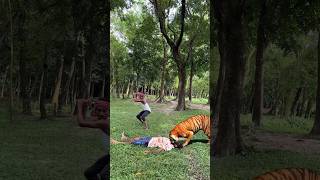 Tiger 🐆 Attack a Boy in Jungle vfx videos shorts viralvfx cheetah tiger [upl. by Nishi]