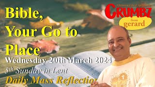 Wednesday 20th March 2024 – 5th Week of Lent  Jn 83132  3 Minute Reflections [upl. by Erdei837]