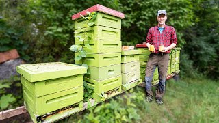 Day in the Life of a Professional Beekeeper [upl. by Narut]