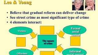 Left realist view of crime and deviance [upl. by Yand]