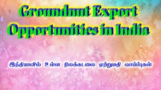 New business ideas in tamil  Peanut export from india Groundnuts Groundnut Export Gokul Export [upl. by Batish]