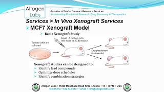 Altogen Labs MCF7 Xenograft Service Breast Cancer [upl. by Elletnwahs]