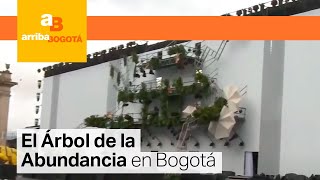 El Árbol de la Abundancia preparan show de Navidad en Bogotá  CityTv [upl. by Fisa]