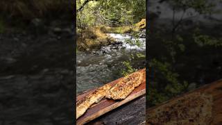 Catch and Cook Lemon pepper trout over using fire camping bushcraft outdoors shorts trout [upl. by Zetnahs600]