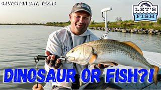 A NEW TECHNIQUE TO CHASING REDFISH 192024 SouthEAST [upl. by Milewski]