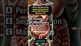 Anatomy and physiology Quiz part 356shorts [upl. by Floridia]