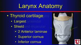 The Upper Aerodigestive Tract  Course Sample [upl. by Ysnap]