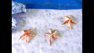 Origami Starfish [upl. by Ramalahs846]