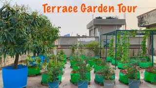 Overview Video Of My Fruits And Vegetable Garden In The Month Of April  Terrace Garden Tour [upl. by Sucramel]