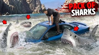 This Family Gets Eaten By a PACK OF SHARKS After Crashing Car Into Water [upl. by Charmane]