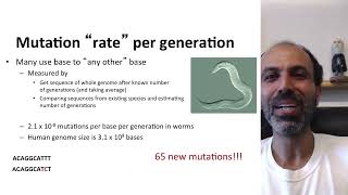 Genetics and Evolution  42 Mutation and Complex Traits [upl. by Hendren]