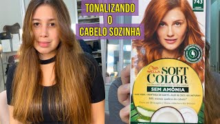 TONALIZANDO O CABELO EM CASA SOZINHA  Tonalizante Wella Louro Acobreado 743 [upl. by Connell]