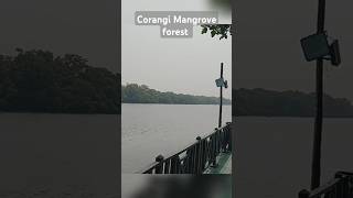 Corangi Mangrove Forest viewCoringa wildlife sanctuarynear kakinada [upl. by Musa]