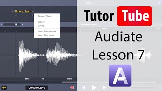 Audiate Tutorial  Lesson 7  Audio Input and Playback Behaviour [upl. by Crim]