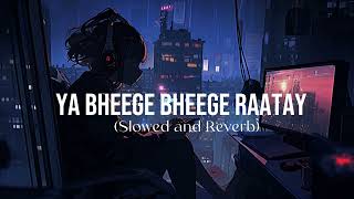 Yah Bheege Bheege Raatay Slowed and Reverb [upl. by Viv]