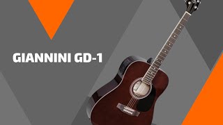 REVIEW GIANNINI GD1 reviews gerais [upl. by Starr21]