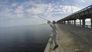 Pigfish and White Trout on Bob Sykes Fishing Pier [upl. by Harrie654]