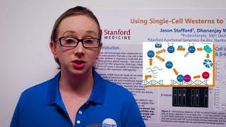 ProteinSimple RNASeq Target Validation with SingleCell Westerns with Milo [upl. by Anirbas]