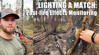 Lighting a Match PostFire Effects Monitoring on a Recent Prescribed Burn [upl. by Ardnuhsor491]