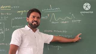 Explain Blood Plasma  Albumin  Globulin  alpha Beta amp Gamma and origination [upl. by Neomah988]