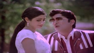 Panchami Poota Manchidhani Video Song  Sriranganeetulu Movie  ANRSridevi [upl. by Netniuq]