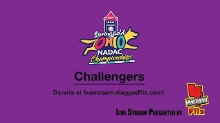 2019 NADAC Championships Challengers [upl. by Ahtelat654]