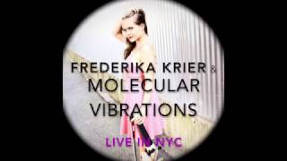 Frederika Krier Elephants in Love violin solo  Rockwood Music Hall [upl. by Rimaj480]