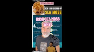 Irish Sea Moss [upl. by Minnie]