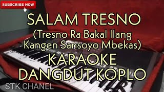 Tresno Ra Bakal Ilyang  SALAM TRESNO  KARAOKE DANGDUT KOPLO [upl. by Dawkins]