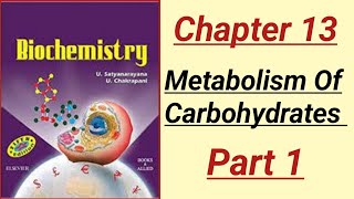 Biochemistry Lecture  Satya Biochemistry Chapter 13 Metabolism Of Carbohydrates part 1 [upl. by Noe]