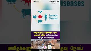 மனிதர்களுக்கு கருச்சிதைவு நோய் பரவாமல் தடுக்க கால்நடைகளுக்கு தடுப்பூசி போடப்படுகிறது [upl. by Devad]