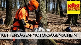 Motorsägenschein für Kettensäge [upl. by Minette]