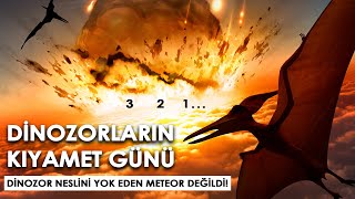 DİNOZORLARIN Yok Olduğu Kıyamet Günü I Meteorun İzleri Nasıl Bulundu ve Nerede [upl. by Falda]