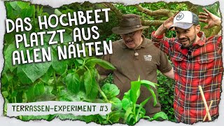 Unser Hochbeet im Mai amp Kräuterbeet anlegen 🌿  Pikieren anhäufeln amp auspflanzen [upl. by Limann]