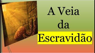 A Veia da Escravidão [upl. by Symer108]