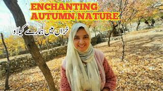 Autumn Forest Walk  Enchanting Autumn Nature  Daily Lifestyle Vlog  My Village  Vlogs New Video [upl. by Bourgeois719]