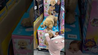 Encontramos un perrito que parece real 😱😳 vlogdeldia mividadiaria minivlog momlife [upl. by Emelita]