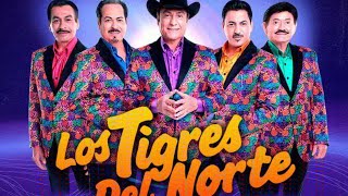 contrabando y traición los tigres del norte vídeo oficial [upl. by Oria]